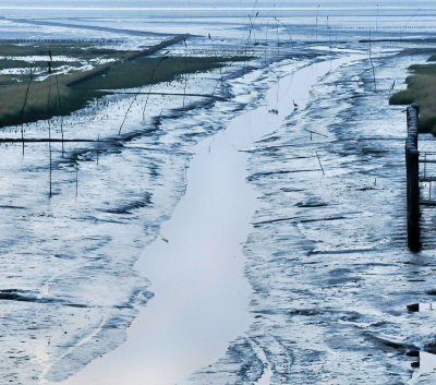 Wad bij Noordpolderzijl