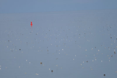 Great Salt Lake, Antelope Island Causeway, Utah