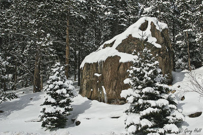 Snow Covered Boulder.jpg