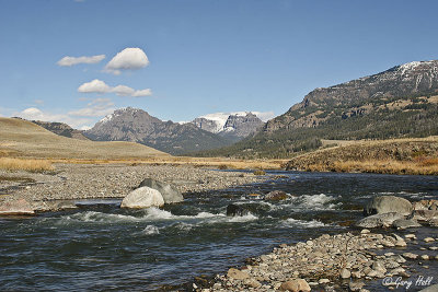 Yellowstone N.P.jpg