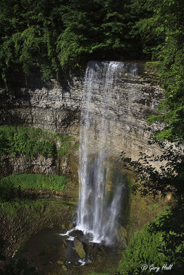 Tews Falls.jpg