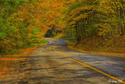 Autumn In The Caledon Hills.jpg