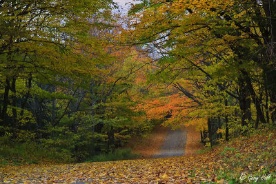 Autumn In The Caledon Hills 2.jpg