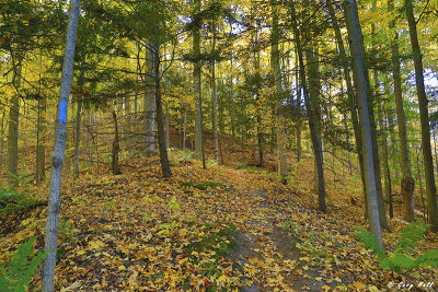 Hemlock Ridges in Autumn 2.jpg