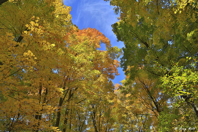 Hemlock Ridges in Autumn 6.jpg