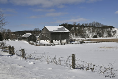 Barn - Humber Station Rd.jpg