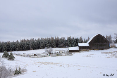 Barn on Hwy 9.jpg