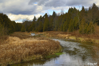 Credit River - Upper Credit C.jpg