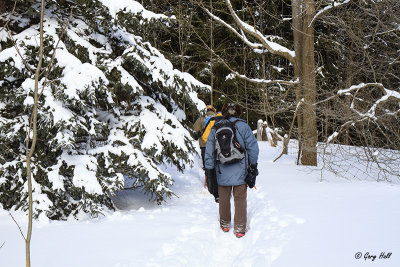 Glen Haffy Winter Hike.jpg