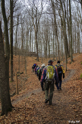 Humber Valley Trail - Albion Hills.jpg