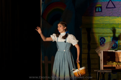 Wizard of Oz - UTMS 2013