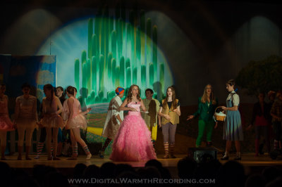 Wizard of Oz - UTMS 2013