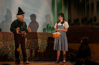 Wizard of Oz - UTMS 2013