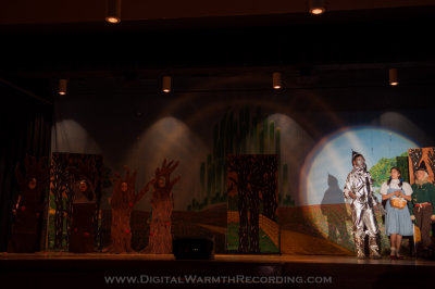 Wizard of Oz - UTMS 2013