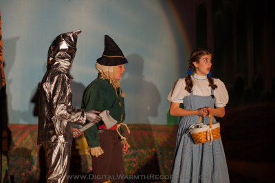 Wizard of Oz - UTMS 2013