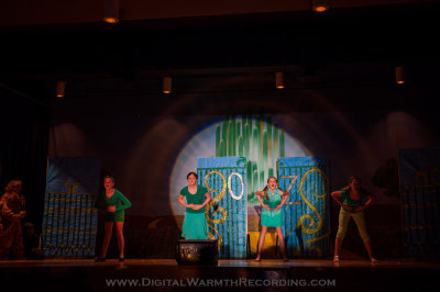 Wizard of Oz - UTMS 2013