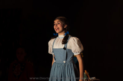 Wizard of Oz - UTMS 2013