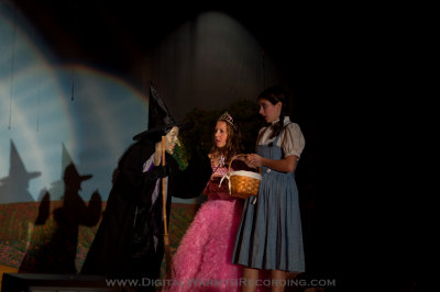 Wizard of Oz - UTMS 2013