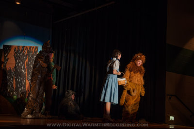 Wizard of Oz - UTMS 2013