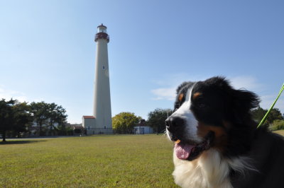 Everest at the Cape May Lighthouse