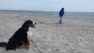 Everest and Mommy at Doggie Beach