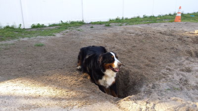 Im digging a hole!
