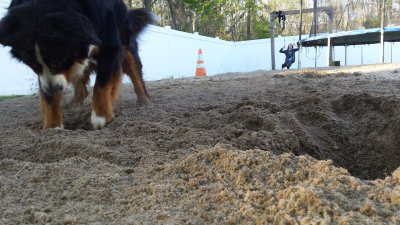 Sometimes Everest likes to dig.