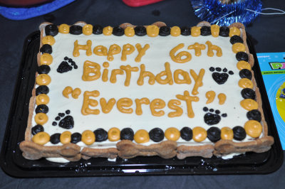 Everest's Birthday Party