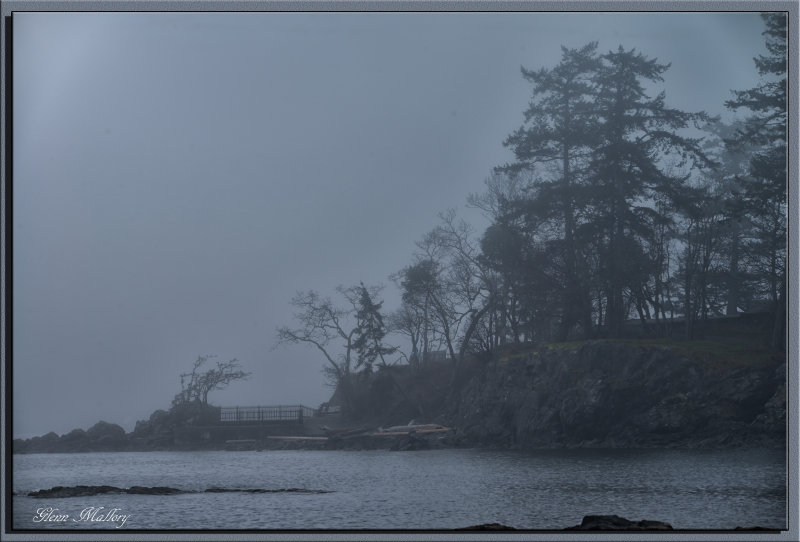 In The Mist