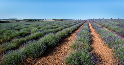 couleur_en_provence
