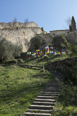 796.jpg