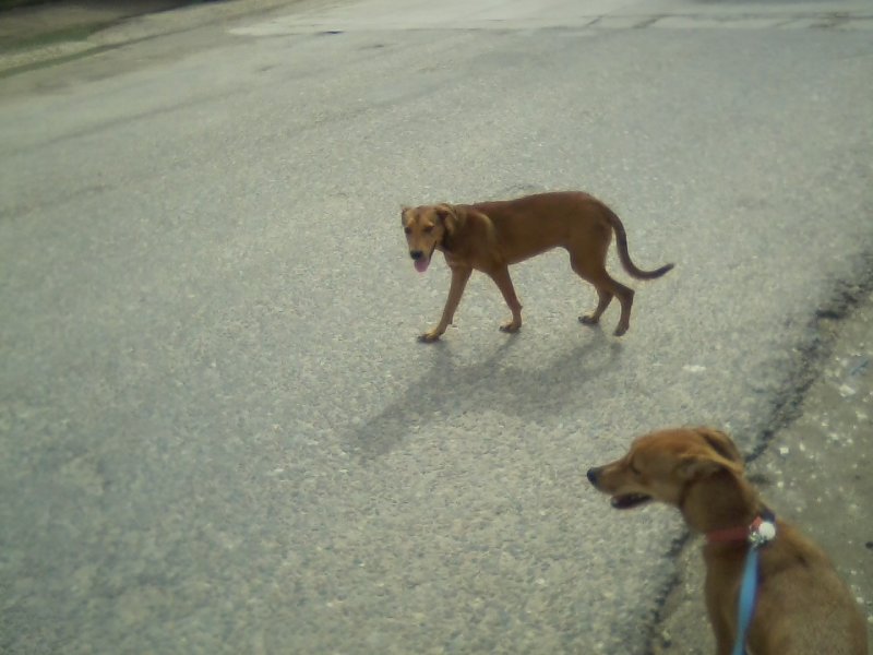 San Ignacio Jan 7 to 10 2015 005.jpg