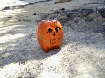 Stiley cocopumpkins Oct 27 2014 _ 15.jpg