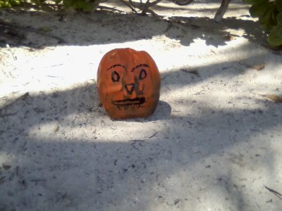 Stiley cocopumpkins Oct 27 2014 _ 16.jpg