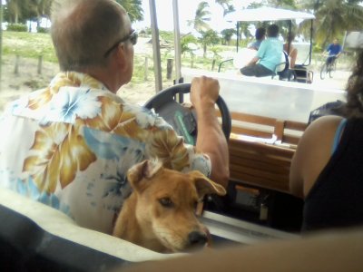 Scott Richmond driving us to the water taxi.jpg