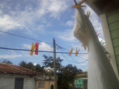 San Ignacio Jan 7 to 10 2015 024.jpg
