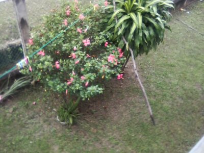 San Ignacio Jan 7 to 10 2015 180.jpg