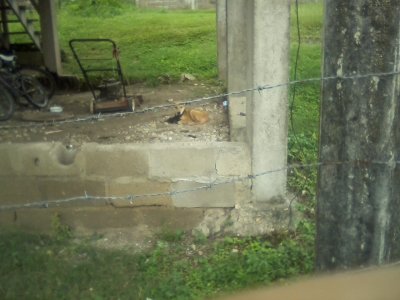San Ignacio Jan 7 to 10 2015 185.jpg