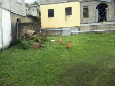 San Ignacio Jan 7 to 10 2015 049.jpg