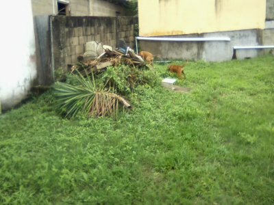 San Ignacio Jan 7 to 10 2015 050.jpg