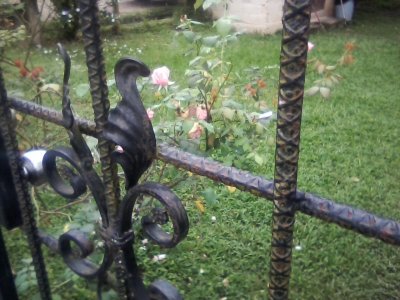 San Ignacio Jan 7 to 10 2015 083.jpg