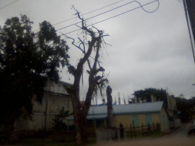 San Ignacio Jan 7 to 10 2015 092.jpg