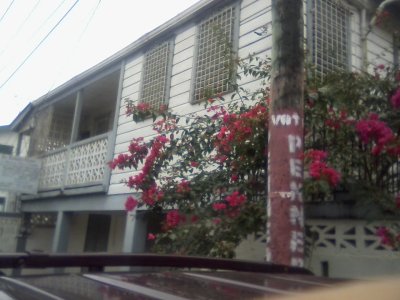 San Ignacio Jan 7 to 10 2015 096.jpg