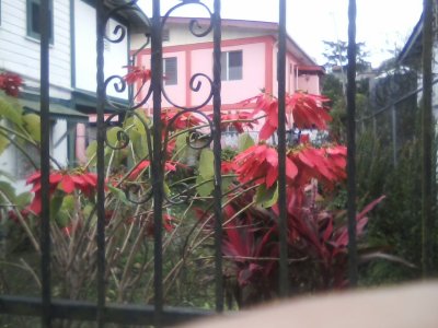San Ignacio Jan 7 to 10 2015 098.jpg