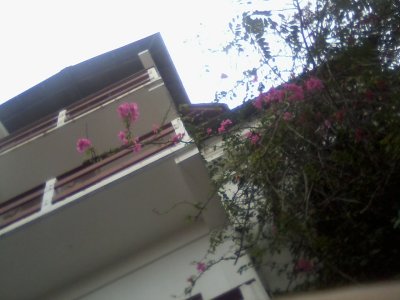 San Ignacio Jan 7 to 10 2015 106.jpg