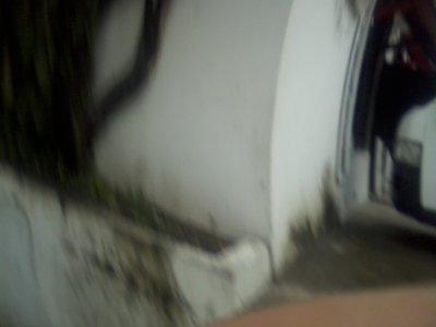 San Ignacio Jan 7 to 10 2015 107.jpg