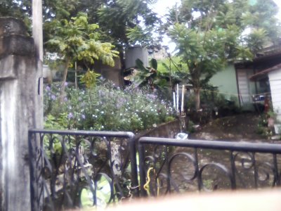 San Ignacio Jan 7 to 10 2015 111.jpg