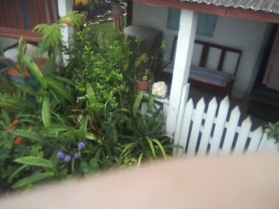 San Ignacio Jan 7 to 10 2015 143.jpg