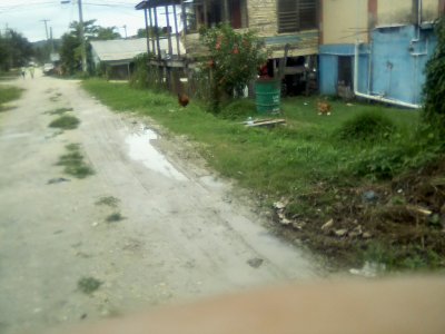 San Ignacio Jan 7 to 10 2015 149.jpg