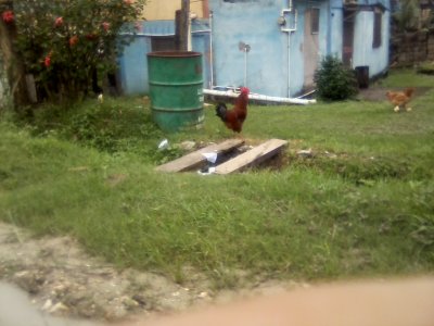 San Ignacio Jan 7 to 10 2015 155.jpg